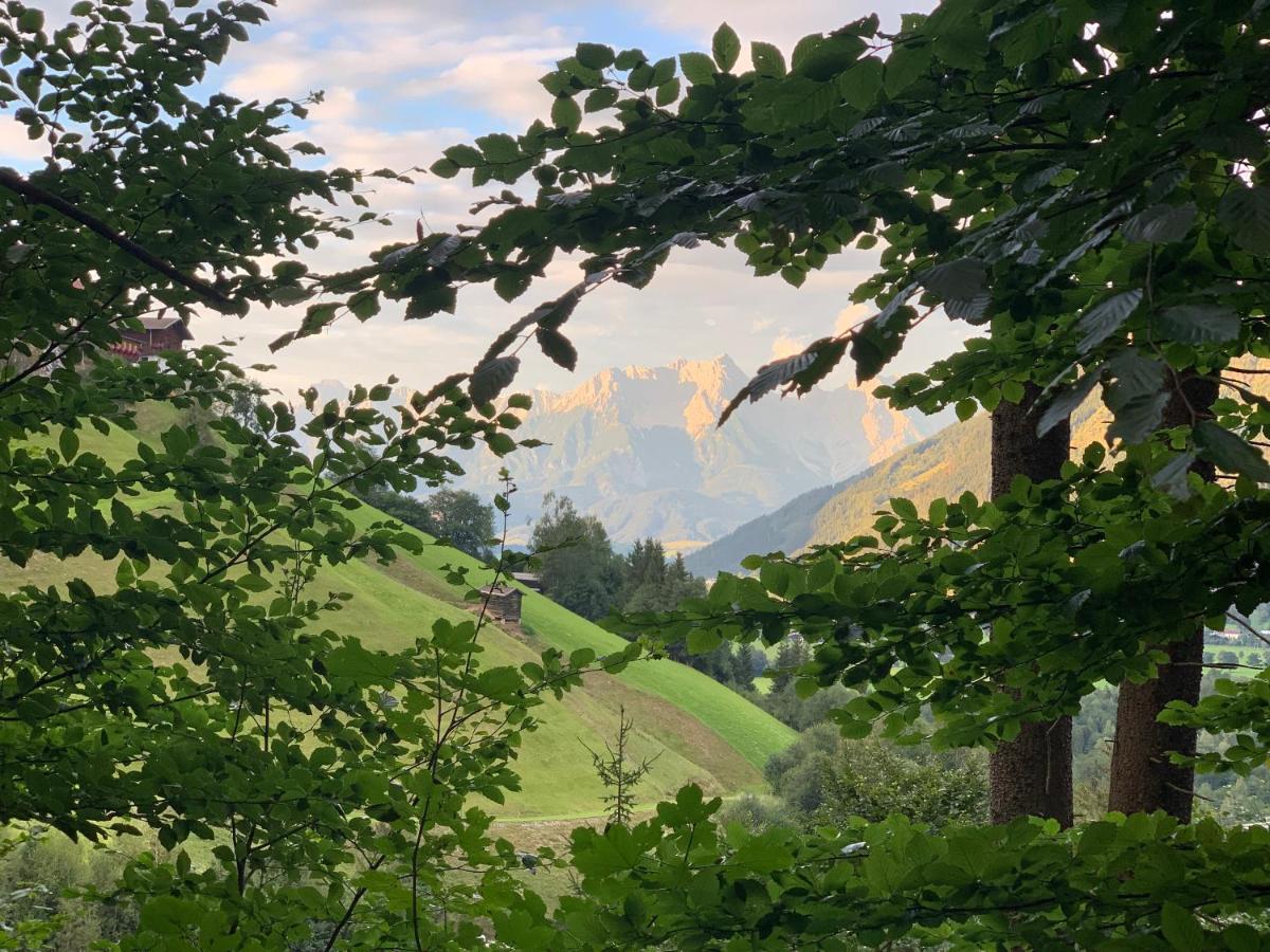 Bergtraeume Mit Seeblick Apartmán *